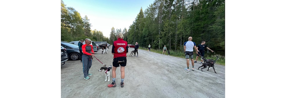 Trenerutdanning: Trener 1 Oslo